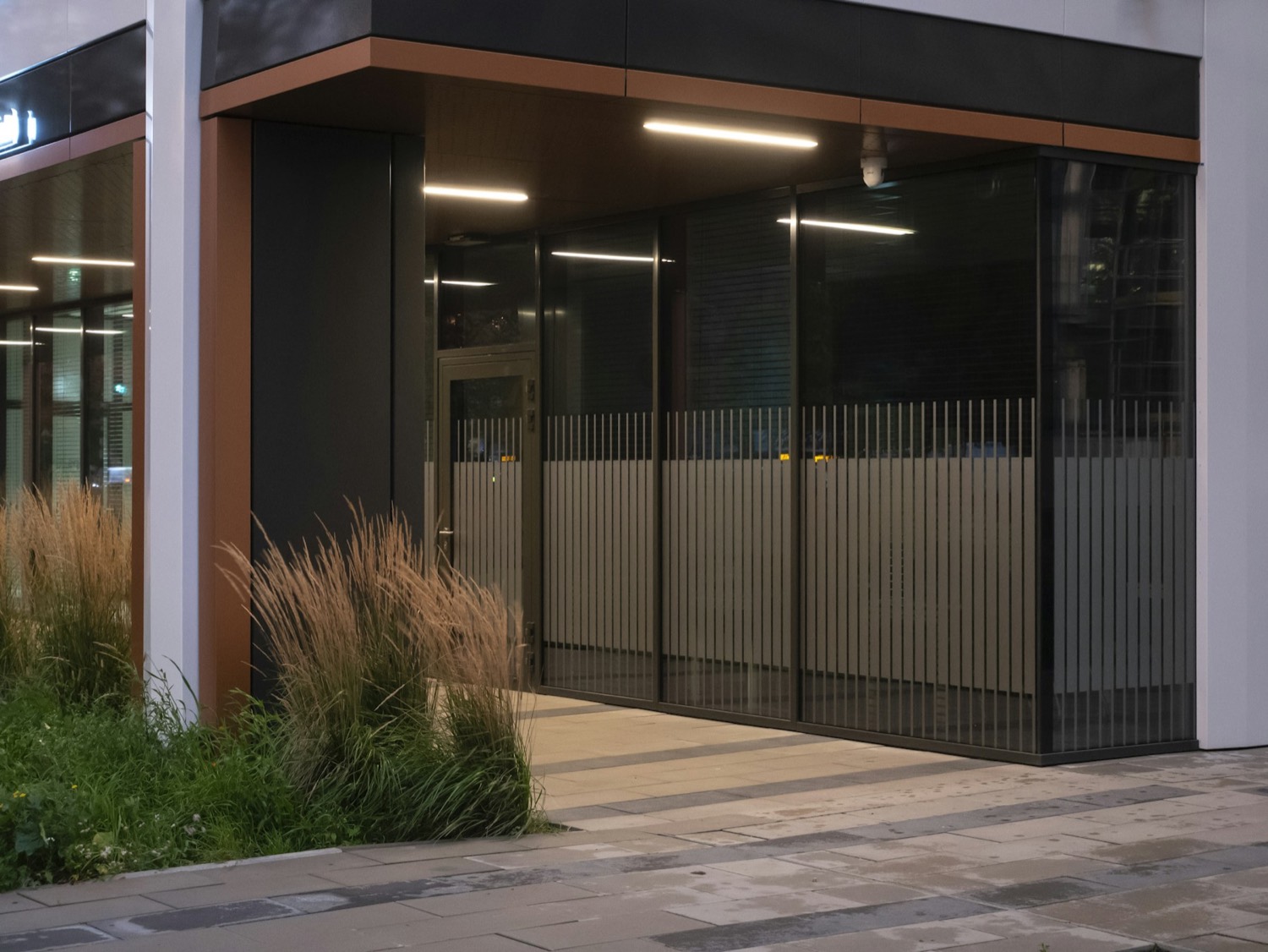 A modern storefront with a wall of glass behind tall grasses