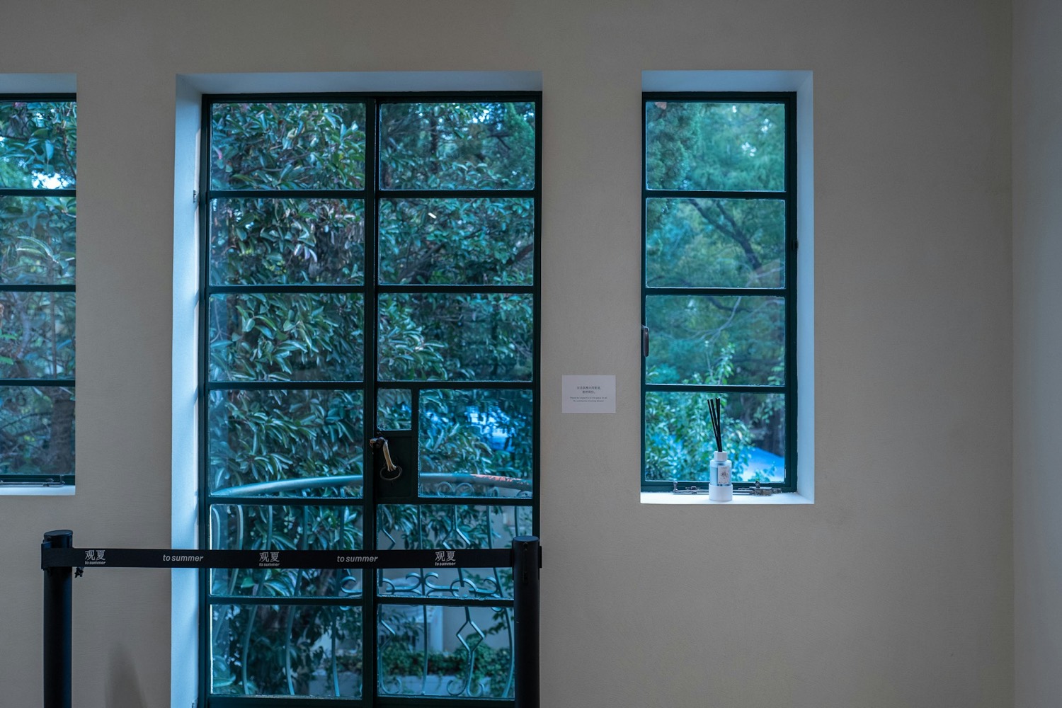 A black steel-frame glass door and window on a white wall